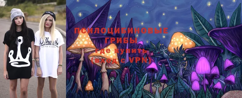 Псилоцибиновые грибы Psilocybe  дарнет шоп  Кулебаки 